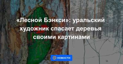 «Лесной Бэнкси»: уральский художник спасает деревья своими картинами - news.mail.ru - Екатеринбург