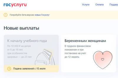 Старт новых соцвыплат привёл к очередям на сайте госуслуг - karel.mk.ru - Россия - республика Карелия