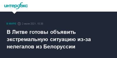 Александр Лукашенко - Габриэлюс Ландсбергис - В Литве готовы объявить экстремальную ситуацию из-за нелегалов из Белоруссии - interfax.ru - Москва - Белоруссия - Литва - Минск