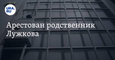 Юрий Лужков - Виктор Батурин - Арестован родственник Лужкова - ura.news - Москва - Россия