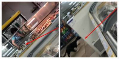 В харьковском магазине трогают рыбу грязными руками, рядом бегает кот: кадры беспредела - kharkov.politeka.net - Украина - Харьков