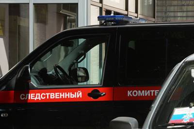 В российском городе трехлетний мальчик жил с телами умерших родителей - lenta.ru - Россия - Смоленск - Пермский край