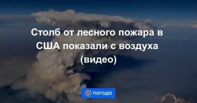 Екатерина Гура - Столб от лесного пожара в США показали с воздуха (видео) - news.mail.ru - USA - шт. Калифорния - Сан-Хосе