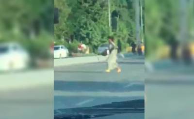 В Самарканде автомобиль сбил женщину-попрошайку, которая пыталась скрыться от сотрудников ОВД - podrobno.uz - Узбекистан - Ташкент