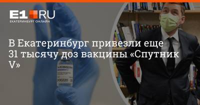 Евгений Куйвашев - Артем Устюжанин - В Екатеринбург привезли еще 31 тысячу доз вакцины «Спутник V» - e1.ru - Екатеринбург