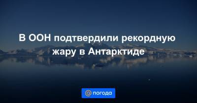 В ООН подтвердили рекордную жару в Антарктиде - news.mail.ru - Антарктида
