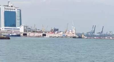 В порту Одессы дельфины устроили зрелищное шоу: видео разлетелось по сети - politeka.net - Украина - Одесса - Одессы