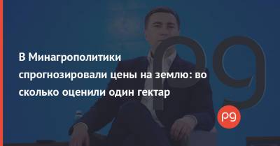 Роман Лещенко - В Минагрополитики спрогнозировали цены на землю: во сколько оценили один гектар - thepage.ua - Украина