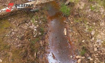 На Среднем Урале активисты обнаружили новую экологическую катастрофу - fedpress.ru - Свердловская обл. - Экология