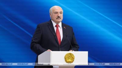 Александр Лукашенко - Лукашенко: в Беларуси вскрыты "спящие" террористические ячейки, так называемые отряды самообороны - belta.by - США - Украина - Белоруссия - Германия - Польша - Литва - Минск