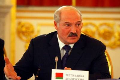 Александр Лукашенко - Лукашенко заявил о раскрытии поддерживаемых США террористических ячеек - mk.ru - США - Украина - Белоруссия - Германия - Польша - Литва