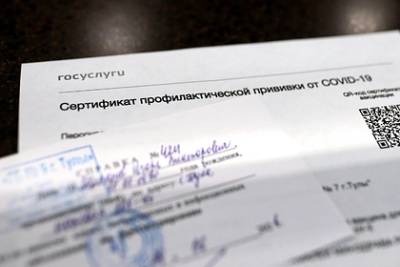 Владимир Путин - В российском регионе завели первое уголовное дело о подделке COVID-сертификатов - lenta.ru - Россия - Красноярск