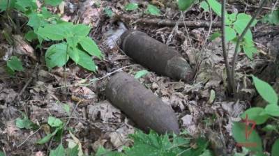 Росгвардейцы уничтожили снаряды, найденные пензенцем в кустах - penzainform.ru