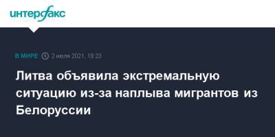 Габриэлюс Ландсбергис - Агне Билотайте - Литва объявила экстремальную ситуацию из-за наплыва мигрантов из Белоруссии - interfax.ru - Москва - Белоруссия - Ирак - Литва