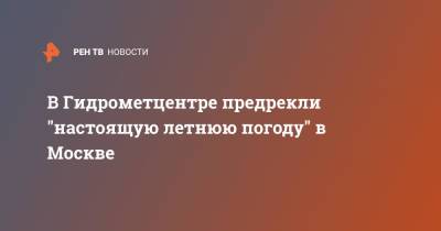 Роман Вильфанд - В Гидрометцентре предрекли "настоящую летнюю погоду" в Москве - ren.tv - Москва - Россия
