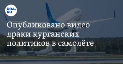 Александр Ильтяков - Опубликовано видео драки курганских политиков в самолёте - ura.news - Москва - Курган