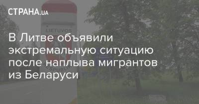 Агне Билотайте - В Литве объявили экстремальную ситуацию после наплыва мигрантов из Беларуси - strana.ua - Украина - Белоруссия - Литва