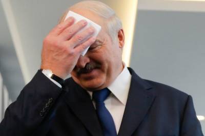 Александр Лукашенко - Лукашенко: из Литвы запустили беспилотник с канистрой со взрывчаткой - mk.ru - Украина - Белоруссия - Литва