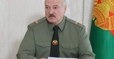 Александр Лукашенко - Лукашенко заявил о перехвате беспилотника со взрывчаткой на белорусско-литовской границе - reendex.ru - Белоруссия - Литва - Вильнюс - Минск