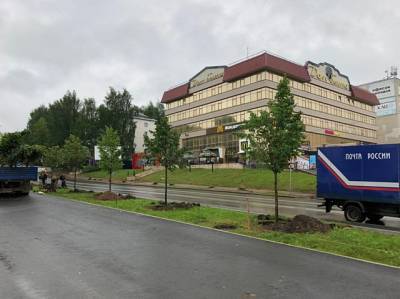 В Сыктывкаре по улице Коммунистической на месте старых тополей посадили липы - komiinform.ru - Сыктывкар