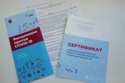 Эксперт назвал главную опасность рынка поддельных сертификатов о вакцинации - infox.ru - Москва - Россия - Магнитогорск