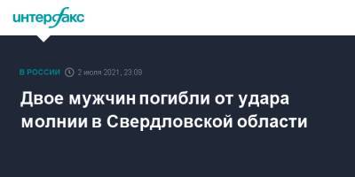 Валерий Горелых - Двое мужчин погибли от удара молнии в Свердловской области - interfax.ru - Москва - Свердловская обл.