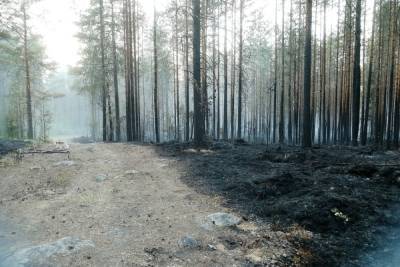 Жители посёлка Найстенъярви опубликовали обращения к властям из-за пожаров - karel.mk.ru - район Суоярвский - республика Карелия