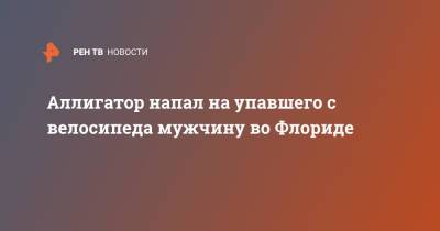 Аллигатор напал на упавшего с велосипеда мужчину во Флориде - ren.tv - США - шт.Флорида