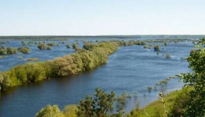 В Чернигове вода в Десне прогрелась до рекордных температур - lenta.ua - Украина