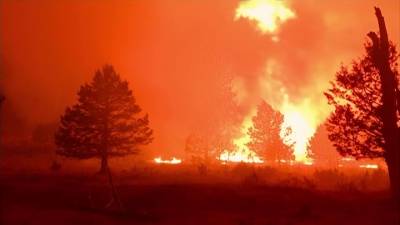 Лесные пожары в США: сотни домов сгорели, тысячи человек эвакуированы - vesti.ru - Россия - США - шт. Колорадо - Канада - шт. Калифорния - штат Орегон - Оттава