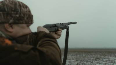 В Воронежской области объявили дату начала сезона летне-осенней охоты - vestivrn.ru - Воронежская обл. - Экология