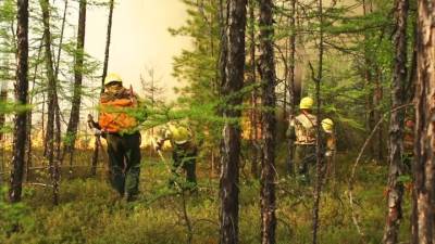 В Якутии сохраняется самая сложная лесопожарная обстановка - vesti.ru - Россия - респ. Саха - Мирный