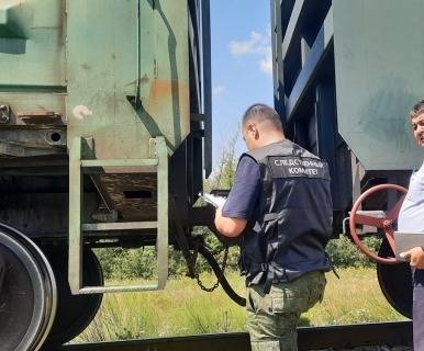 В Челябинской области грузовой поезд насмерть сбил 83-летнего мужчину - znak.com - Башкирия - Челябинская обл. - Уральск