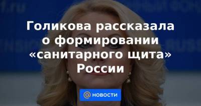 Голикова рассказала о формировании «санитарного щита» России - smartmoney.one - Россия