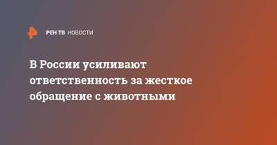 В России усиливают ответственность за жесткое обращение с животными - ren.tv - Россия - Екатеринбург