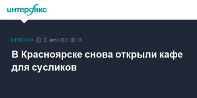 В Красноярске снова открыли кафе для сусликов - interfax.ru - Москва - Красноярск