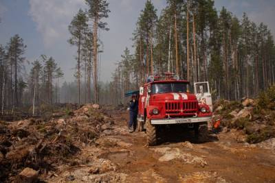 Минприроды Карелии весной уверяло, что обеспечит пожарную безопасность в лесах - gubdaily.ru - район Суоярвский - республика Карелия