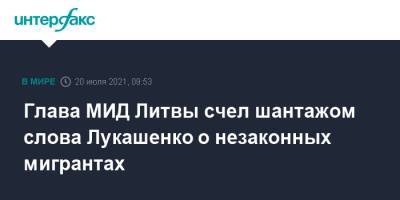 Александр Лукашенко - Габриэлюс Ландсбергис - Глава МИД Литвы счел шантажом слова Лукашенко о незаконных мигрантах - interfax.ru - Москва - Белоруссия - Литва - Вильнюс - Минск