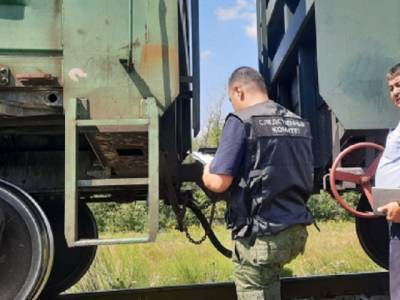 В Челябинской области грузовой поезд сбил 83-летнего пенсионера - u24.ru - Башкирия - Челябинская обл. - Челябинск