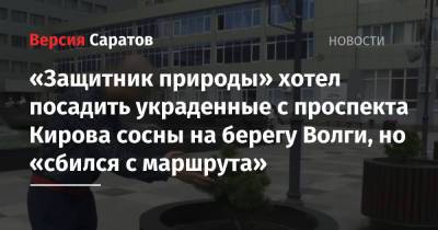 «Защитник природы» хотел посадить украденные с проспекта Кирова сосны на берегу Волги, но «сбился с маршрута» - nversia.ru - Саратов
