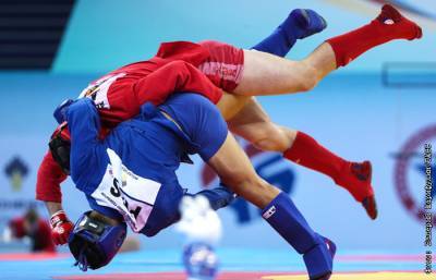 Валерий Шарифулин - Международная федерация самбо получила постоянное признание МОК - sport-interfax.ru - Москва - Токио