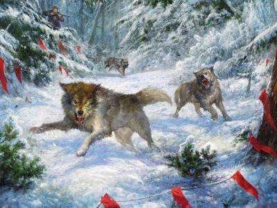 Денис Хахалов - В Курганской области уволен раскрывший жестокую охоту депутата инспектор - kasparov.ru - Курганская обл. - Курган