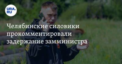 Виталий Безруков - Челябинские силовики прокомментировали задержание замминистра - ura.news - Россия - Челябинская обл.