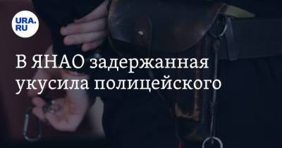 В ЯНАО задержанная укусила полицейского - ura.news - Россия - окр. Янао - район Тазовский