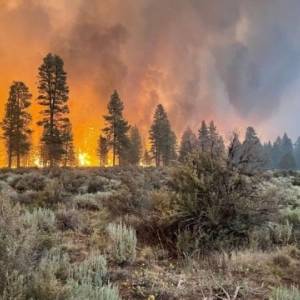 В Орегоне пожар уничтожил 121 тыс. гектаров леса - reporter-ua.com - USA - штат Орегон
