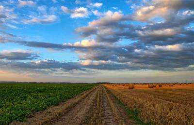 Роман Лещенко - Прогноз: Капитализация земли будет расти на 7-10% в год - agroportal.ua - Украина
