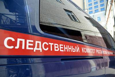 Россиянин пытал 11-летнего ребенка раскаленным утюгом - lenta.ru - Россия - Кемеровская обл.