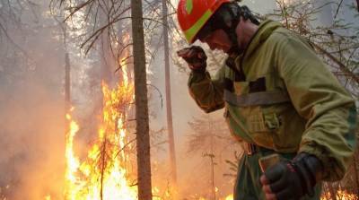 В Коми шесть лесных пожаров произошли за сутки из-за гроз - komiinform.ru - респ. Коми - район Корткеросский - район Троицко-Печорский