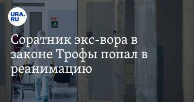 Соратник экс-вора в законе Трофы попал в реанимацию - ura.news - Россия - Екатеринбург