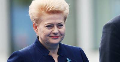 Литовские ведомства намерены добиваться, чтобы Грибаускайте возглавила НАТО - rus.delfi.lv - Литва - Латвия